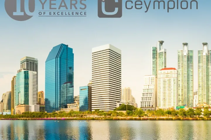 10 Years of Excellence: Driving Digital Transformation